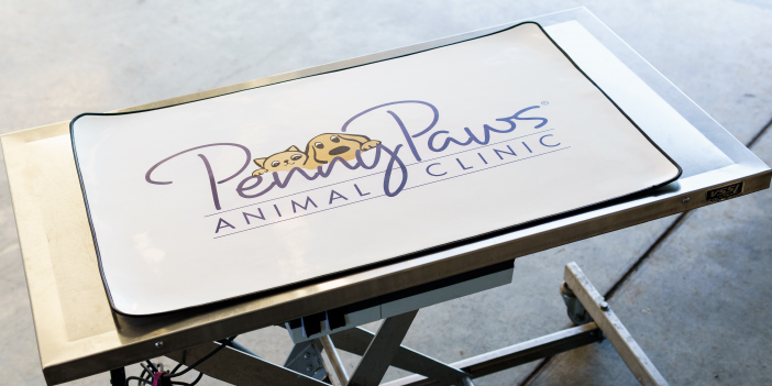 penny paws animal clinic