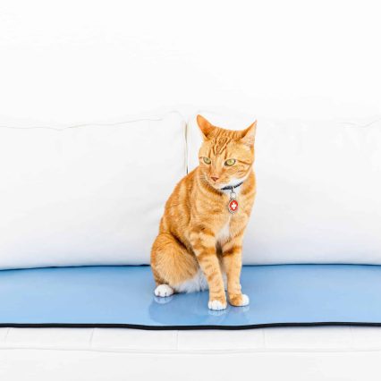 Solid Color Mat - Scale 20"x42", Light Blue