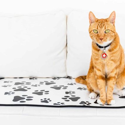 Standard Paw Print Mat