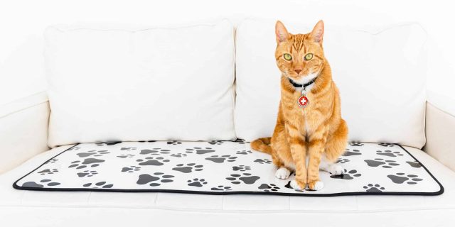 Standard Paw Print Mat
