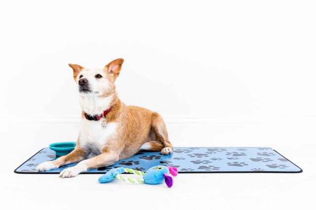 Premium Duo-tone Mat - Image 2