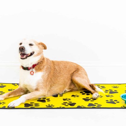 Premium Duo-tone Mat: Clearance