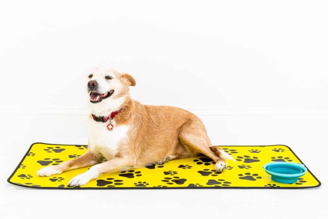 Premium Duo-tone Mat: Clearance