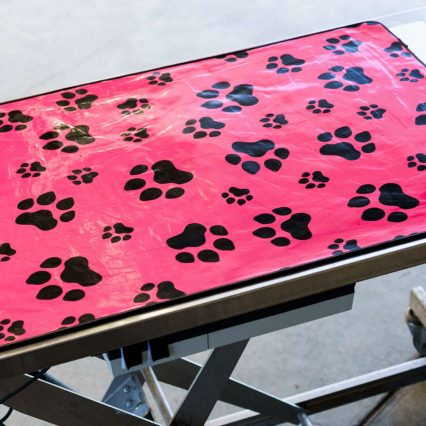 Paw Print Mats: Clearance