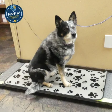 Standard Paw Print Mat