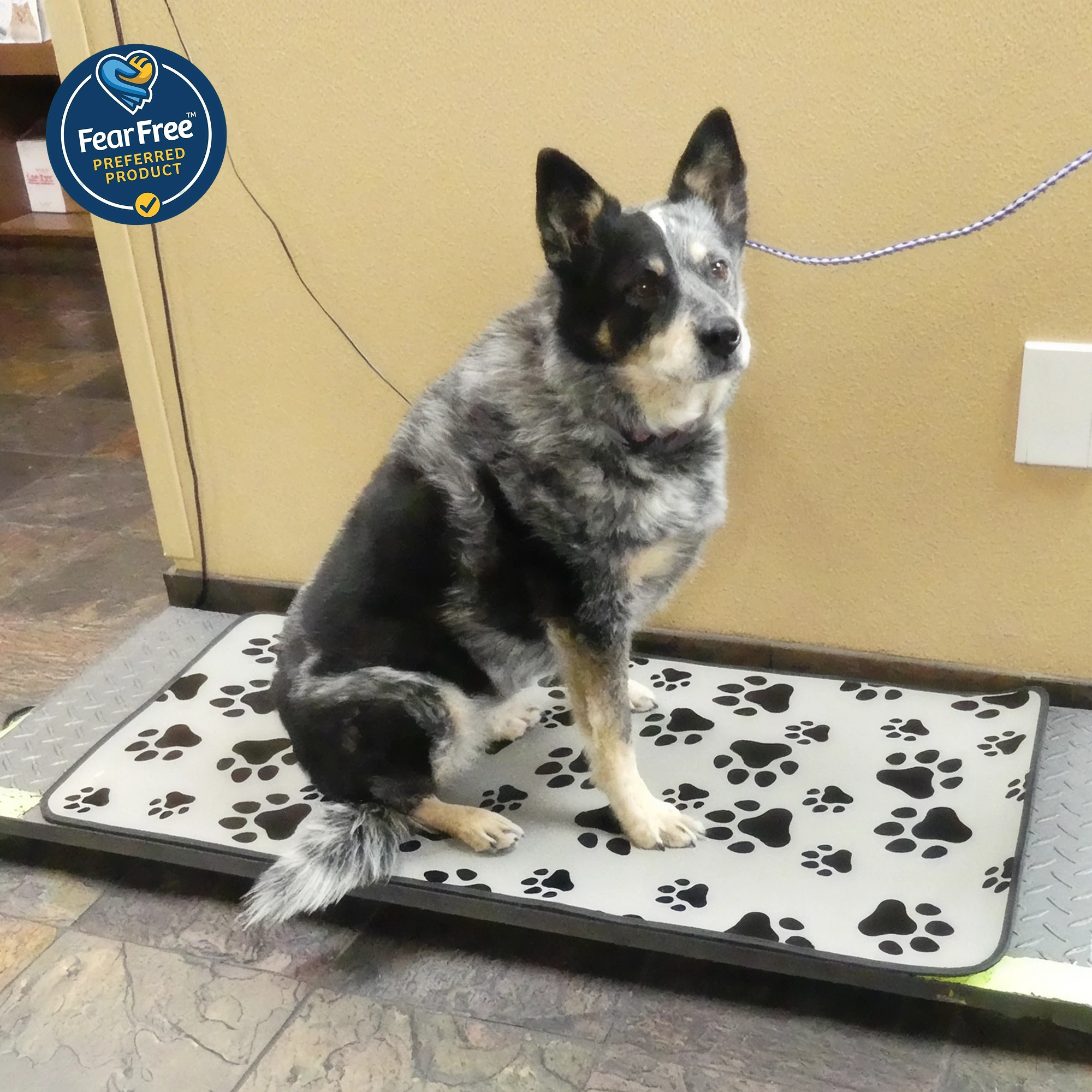 Standard Paw Print Mat