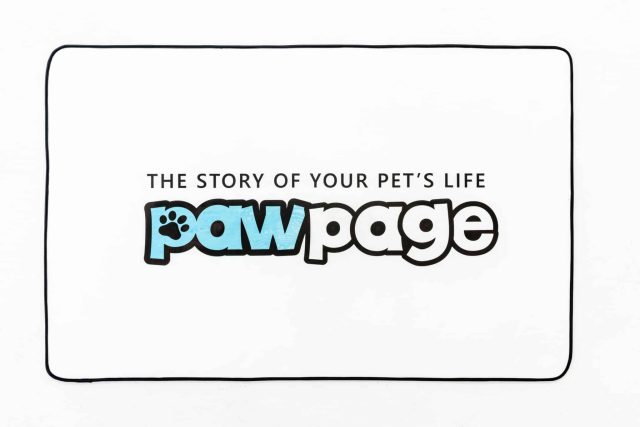 Custom Package Deal - Image 5