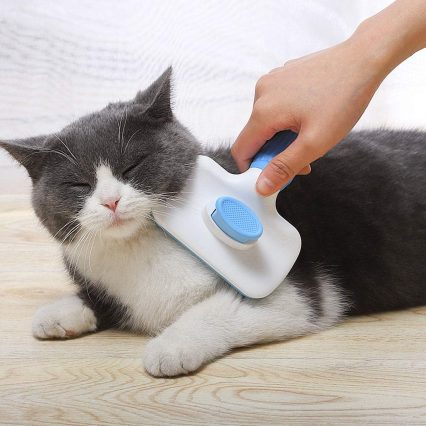 Self-Cleaning Slicker Brush for Dogs & Cats