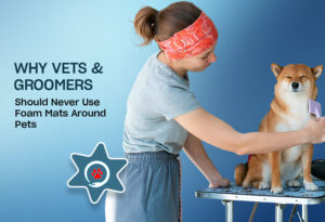 Why Vets Should Never Use Foam Mats Around Pets