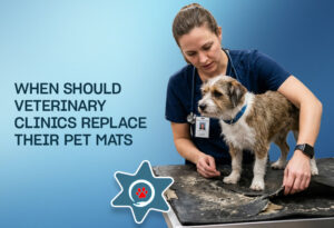 When Should Veterinary Clinics Replace Their Pet Mats? A Safety & Hygiene Guide