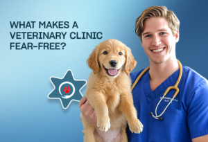 What Makes a Veterinary Clinic Fear-Free?